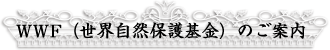 WWFiERیĵē